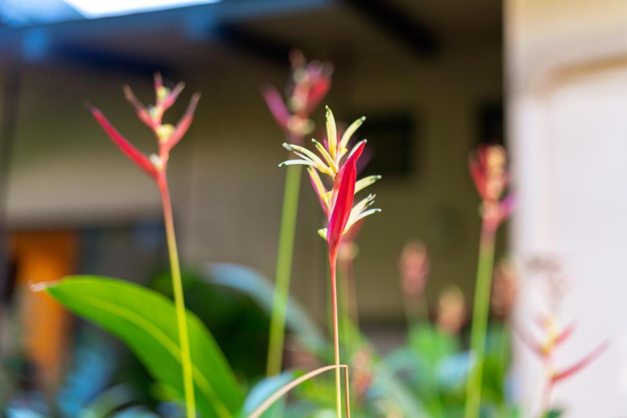 Noahs Hideaway Luxury B&B Lahaina Exteriör bild