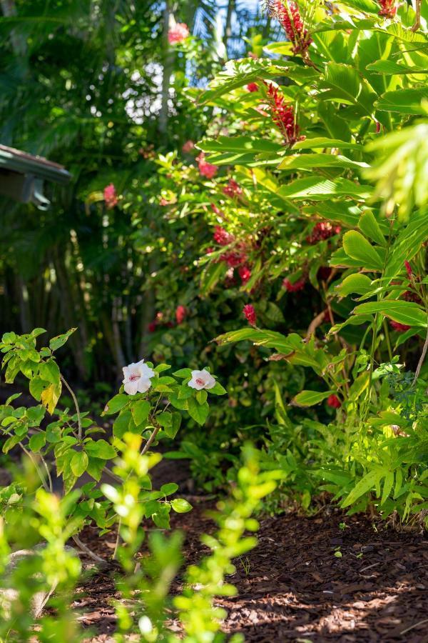 Noahs Hideaway Luxury B&B Lahaina Exteriör bild